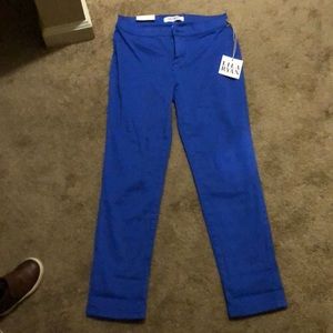 Cobalt Blue Brand New Business slacks. PETITE